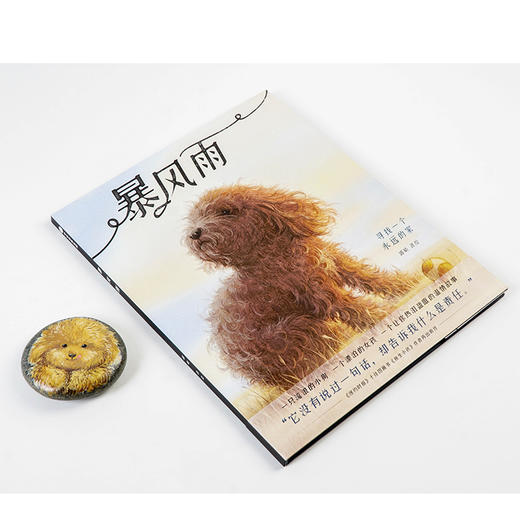 暴风雨 郭婧 著 中国原创童书 独生小孩作者新作 温情故事 耐心善良信任 中信出版社图书 正版书籍 商品图2