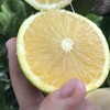 褚橙花斑果 商品缩略图5
