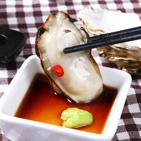【顺丰包邮】野生乳山生蚝  海洋里的牛奶  5斤包邮 新鲜直发 海蛎子 牡蛎