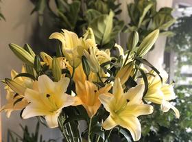  当“金鸡”与“白鹭”在厦门邂逅… 