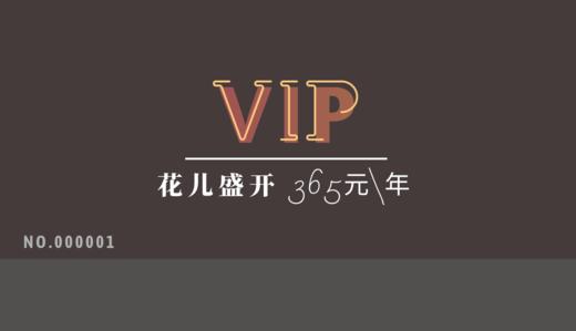 鲸宝测试 商品图2