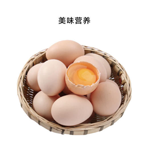 正大初产鲜鸡蛋（25枚）*3盒 商品图3