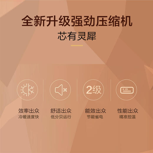 格兰仕 Galanz 大1匹 变频冷暖 WIFI智能 二级能效空调挂机 XZ26GW8E-150(2) 商品图2