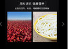 吴佳拌米粉新疆特色爆辣炒米粉牛肉酱（干粉）方便袋装特产美食 商品缩略图3