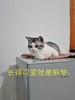 1 商品缩略图0