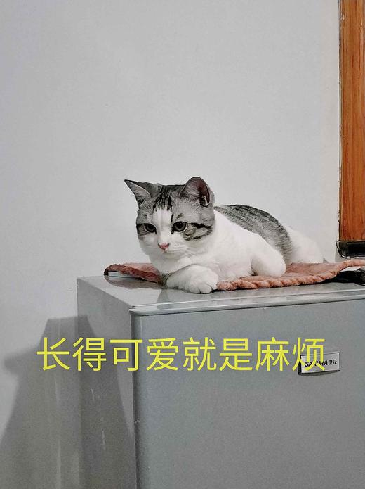 1 商品图0