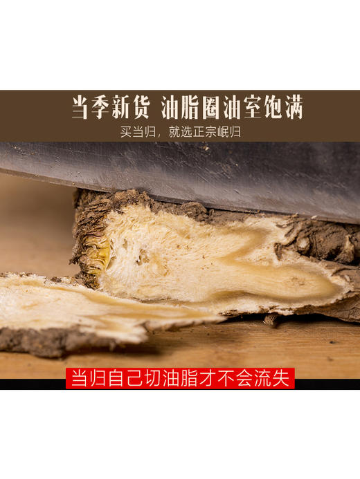中国当归之乡甘肃定西无硫野生当归助农统装当归条当归片当归粉1公斤散装 商品图2