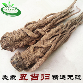 中国当归之乡甘肃定西无硫野生当归助农统装当归条当归片当归粉1公斤散装