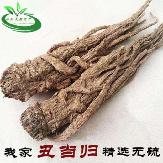 中国当归之乡甘肃定西无硫野生当归助农统装当归条当归片当归粉1公斤散装 商品图0