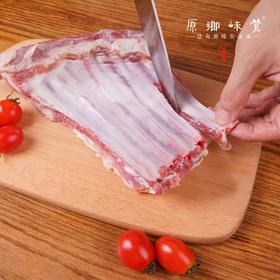  草原牧羊记：跨域2400公里，寻找天下第一羊 