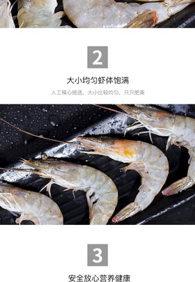 测试商品，大虾