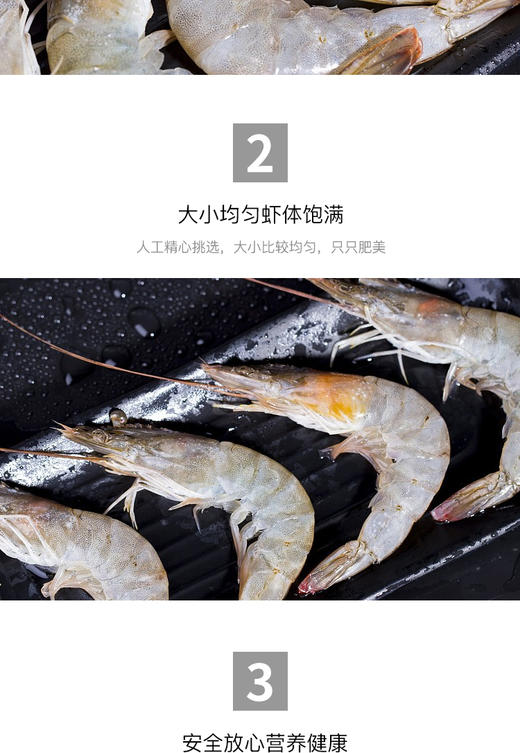 测试商品，大虾 商品图0