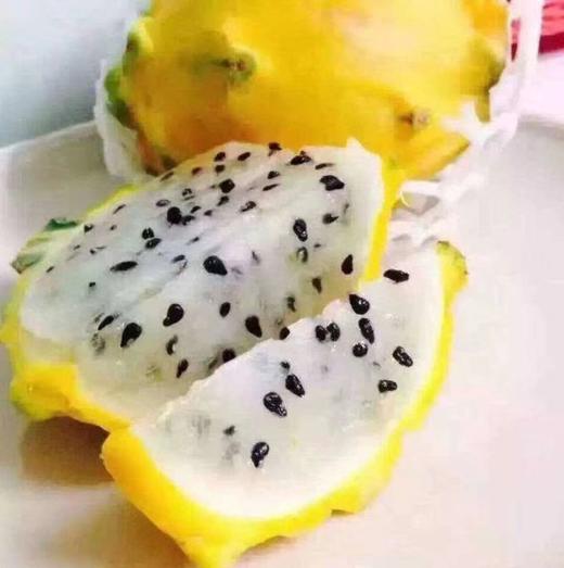 世界十大土豪水果之一 【燕窝果】 商品图1