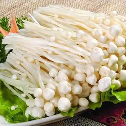金针菇 商品图0