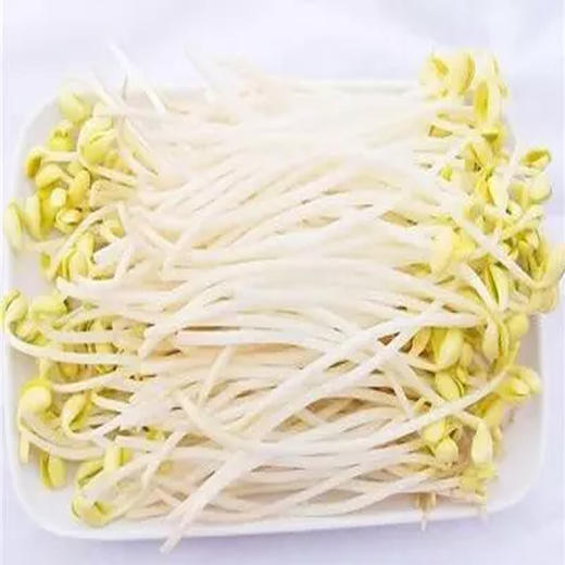 黄豆芽 商品图0