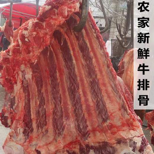 牛排 商品图1