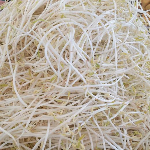 绿豆芽 商品图0