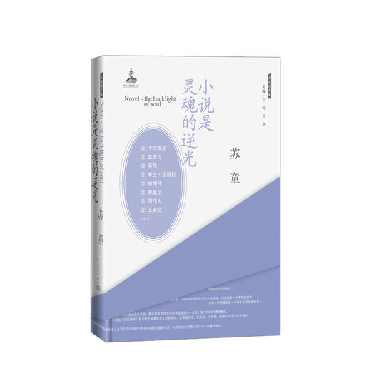 小说是灵魂的逆光 商品图0