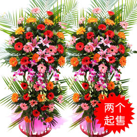 开业花篮—前程似锦（2个起售）-全国鲜花速递同城鲜花店配送生日花北京上海杭州广州深圳订花送花