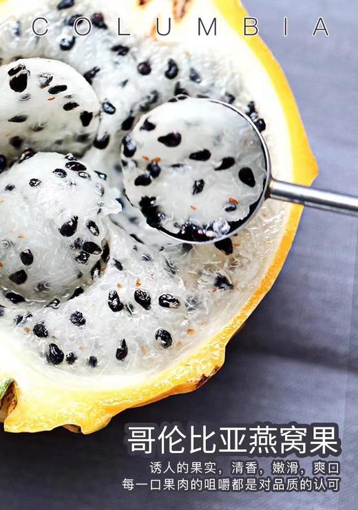 世界十大土豪水果之一 【燕窝果】 商品图5