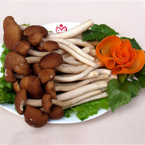 鲜茶树菇 商品图0