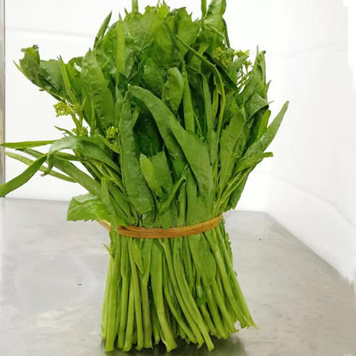青菜苔 商品图3