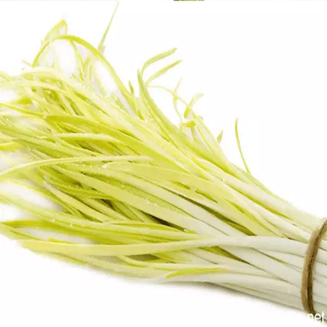 韭黄
