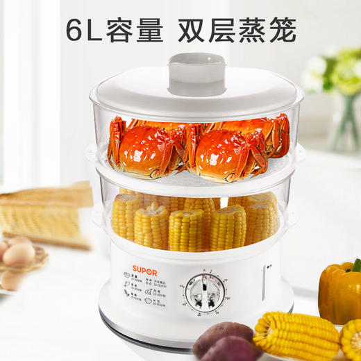 苏泊尔（SUPOR）多用途锅 电蒸锅6L 双层笼屉Z06YA3-S2 商品图2