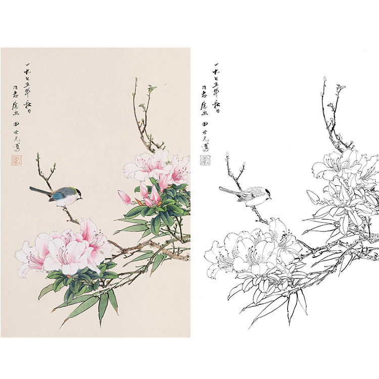 田世光工笔竖幅花鸟白描底稿-SG25