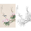 田世光工笔竖幅花鸟白描底稿-SG25 商品缩略图0