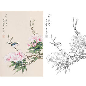 田世光工笔竖幅花鸟白描底稿-SG25