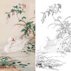 田世光工笔竖幅花鸟白描底稿-SG32 商品缩略图0