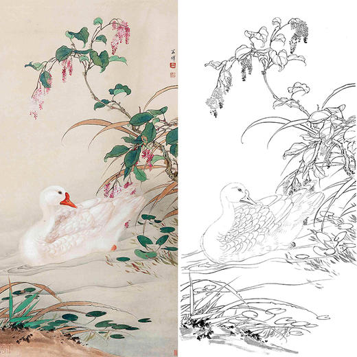田世光工笔竖幅花鸟白描底稿-SG32 商品图0