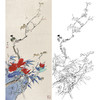 田世光工笔竖幅花鸟白描底稿-SG34 商品缩略图0