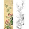 田世光工笔竖幅花鸟白描底稿-SG37 商品缩略图0