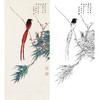 田世光工笔竖幅花鸟白描底稿-SG33 商品缩略图0