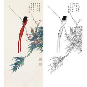 田世光工笔竖幅花鸟白描底稿-SG33