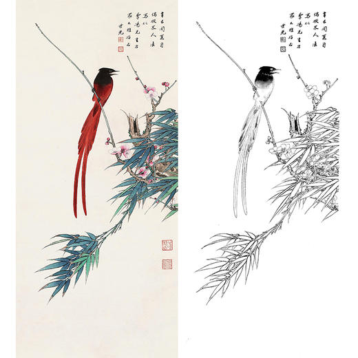 田世光工笔竖幅花鸟白描底稿-SG33 商品图0