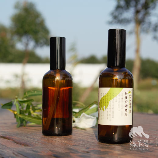 野生松针纯露 | 合作生产* Wild pine needle hydrosol | Coproduction 商品图1