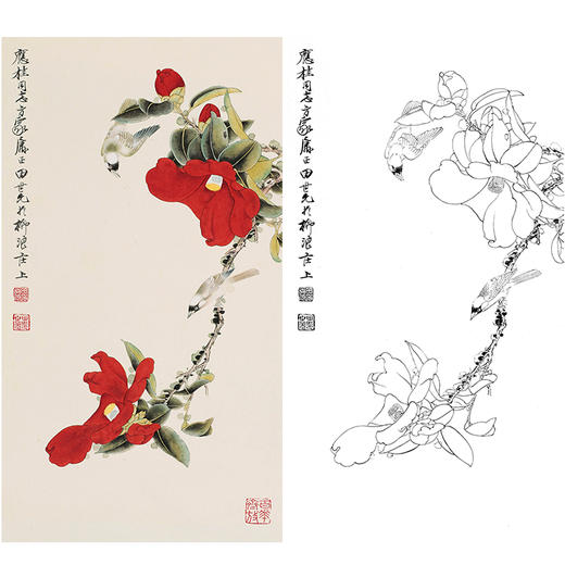田世光工笔竖幅花鸟白描底稿-SG26 商品图0