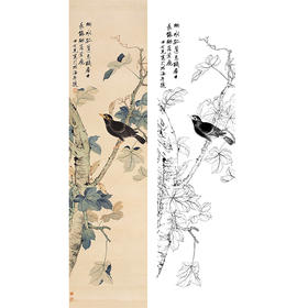 田世光工笔竖幅条屏花鸟白描底稿-SG42