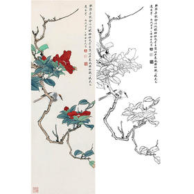 田世光工笔竖幅花鸟白描底稿-SG35