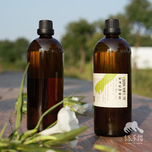 野生松针纯露 | 合作生产* Wild pine needle hydrosol | Coproduction 商品图2