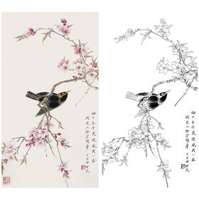 田世光工笔竖幅花鸟白描底稿-SG28