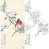 田世光工笔竖幅花鸟白描底稿-SG29 商品缩略图0