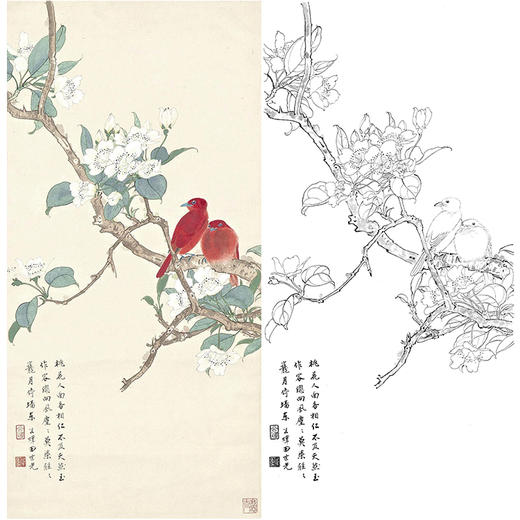 田世光工笔竖幅花鸟白描底稿-SG29 商品图0