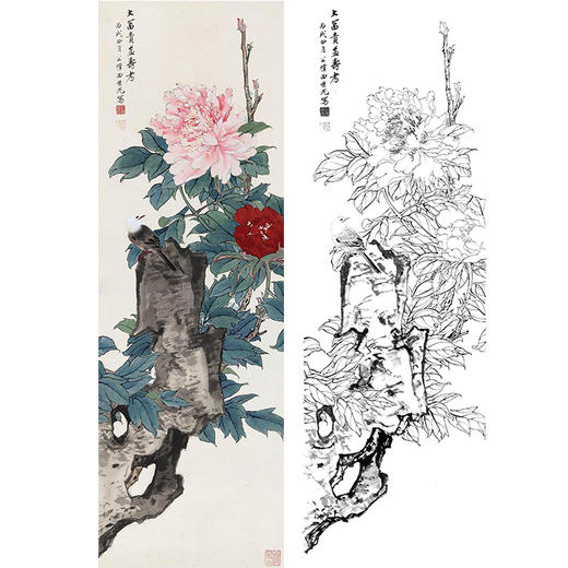 田世光工笔竖幅花鸟白描底稿-SG38 商品图0