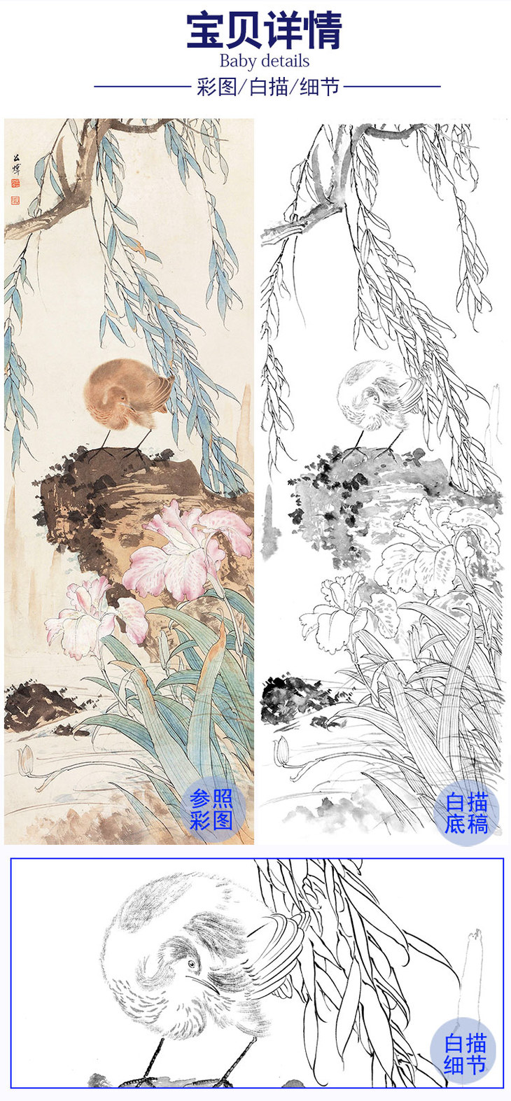 田世光工笔条幅花鸟白描底稿-sg40