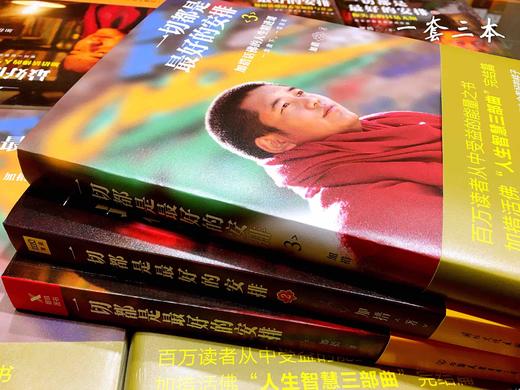 加措活佛的书全套3册】一切都是最好的安排 西藏生死书索甲仁波切荐 佛学正能量人生宗教哲学正版书籍 商品图9