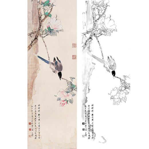 田世光工笔竖幅条屏花鸟白描底稿-SG41 商品图0